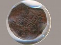 Escudo - 6 Dineros - Spain - 1665 - Copper - Cayón# 5089 - 19 mm - Legend: PHI_IIII_DEIGRAMAIO / VNIVERS_EBVS_DNS - 0